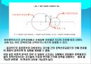 규제연방주의(regulatory federalism) [규제연방주의에 대한 기존의 논의와 한계 이론과 가설, 규제연방체제의 데이터와 측정, 규제연방체제의 분석결과] 11페이지