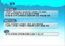 규제연방주의(regulatory federalism) [규제연방주의에 대한 기존의 논의와 한계 이론과 가설, 규제연방체제의 데이터와 측정, 규제연방체제의 분석결과] 22페이지