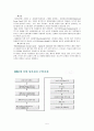 정보화 성과관리에 관한 외국사례 연구 및 우리의 추진방향  7페이지