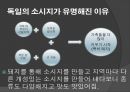 독일의 음식문화 32페이지
