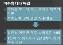 독일의 음식문화 42페이지