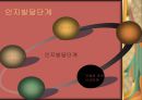 인지이론 [인간관, 기본가정, 주요개념, 인지적과정, 인지적현상, 인지발달단계, 사회복지실천에 대한 적용, 피아제의 인지발달 이론의 특징] 12페이지