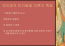 인지이론 [인간관, 기본가정, 주요개념, 인지적과정, 인지적현상, 인지발달단계, 사회복지실천에 대한 적용, 피아제의 인지발달 이론의 특징] 18페이지