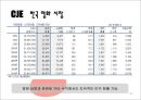 CJ소개 34페이지