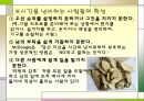 정신건강-스트레스의 건설적 대처 11페이지