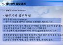 정신분석이론 [사회복지실천과 정신분석이론 - 장단점, 인간관, 기본가정, 주요개념, 심리성적 발달단계] 30페이지