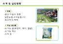 문당리 & 토고미 마을  5페이지