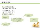 문당리 & 토고미 마을  10페이지