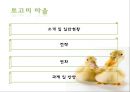 문당리 & 토고미 마을  12페이지