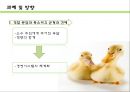 문당리 & 토고미 마을  19페이지