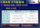 행정조직의 팀제 도입-무엇이 문제인가  6페이지
