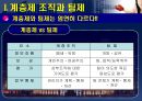 행정조직의 팀제 도입-무엇이 문제인가  7페이지