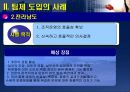 행정조직의 팀제 도입-무엇이 문제인가  17페이지