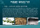 세종대왕의 화폐정책  18페이지
