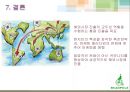 빈폴 브랜드분석과 빈폴 글로벌 마케팅 SWOT,STP,4P전략분석및 빈폴의 미래전망연구 PPT 17페이지