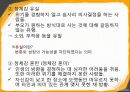 청소년기의 발달적 특징,청소년 전기의 특성-심리 신체 사회적측면 26페이지