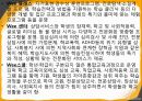 청소년기의 발달적 특징,청소년 전기의 특성-심리 신체 사회적측면 42페이지