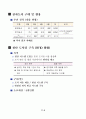 ISO준비현황보고서 10페이지