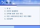일본 지진의 다각적 분석 [일본 지진의 발생원인] 2페이지