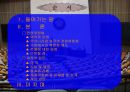 전원위원회와 대정부 질문  2페이지