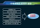 한국의 정치상황과 규제개혁의 한계-기업규제정책을 중심으로 15페이지