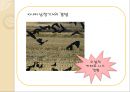 이본으로 본 한문 소설 베스트 10 [구운몽, 창선감의록, 사씨남정기, 임장군전] 12페이지