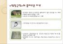 이본으로 본 한문 소설 베스트 10 [구운몽, 창선감의록, 사씨남정기, 임장군전] 21페이지