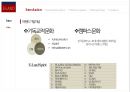 이랜드 ELAND 기업분석과 SWOT분석및 이랜드 문제상황과 이랜드 마케팅전략과 경영전략연구 PPT (발표대본첨부) 6페이지