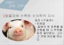 고대에서 중세로 수의학의 발전,로마의 수의학,중세 이슬람과 유럽의 수의학,중국과 우리나라의 중세 수의학,그리스의 수의학 8페이지