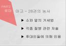 고대에서 중세로 수의학의 발전,로마의 수의학,중세 이슬람과 유럽의 수의학,중국과 우리나라의 중세 수의학,그리스의 수의학 13페이지
