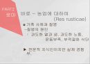 고대에서 중세로 수의학의 발전,로마의 수의학,중세 이슬람과 유럽의 수의학,중국과 우리나라의 중세 수의학,그리스의 수의학 16페이지