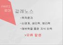 고대에서 중세로 수의학의 발전,로마의 수의학,중세 이슬람과 유럽의 수의학,중국과 우리나라의 중세 수의학,그리스의 수의학 21페이지