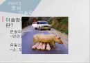 고대에서 중세로 수의학의 발전,로마의 수의학,중세 이슬람과 유럽의 수의학,중국과 우리나라의 중세 수의학,그리스의 수의학 23페이지
