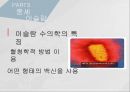 고대에서 중세로 수의학의 발전,로마의 수의학,중세 이슬람과 유럽의 수의학,중국과 우리나라의 중세 수의학,그리스의 수의학 24페이지