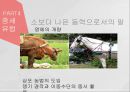 고대에서 중세로 수의학의 발전,로마의 수의학,중세 이슬람과 유럽의 수의학,중국과 우리나라의 중세 수의학,그리스의 수의학 34페이지