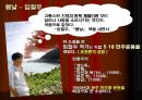 소설 속 대학생의 정치참여 [소설 속 대학생의 소극적인 모습] 9페이지