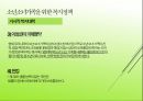 소년소녀가족 PPT(소년소녀가족발생원인, 소년소녀가족현황, 소년소녀가족문제, 소년소녀가족복지대책) 프레젠테이션 11페이지