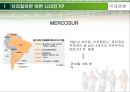 국제경영,브라질현지법인의 경영성과측정,브라질의 기업환경,현지법인의 기업성과 측정 5페이지