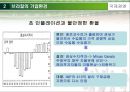 국제경영,브라질현지법인의 경영성과측정,브라질의 기업환경,현지법인의 기업성과 측정 11페이지