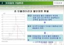 국제경영,브라질현지법인의 경영성과측정,브라질의 기업환경,현지법인의 기업성과 측정 12페이지