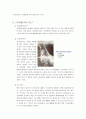 여성, 모성간호학 실습- 전치태반 case study 컨퍼런스 3페이지
