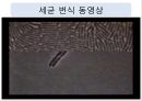 손씻기의 중요성 [ 초등 중학교 고등학교 손씻기 교육 자료 ppt] 6페이지