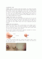 유방암 case study [여성병동 실습 컨퍼런스] - 여성간호학 실습 유방암 컨퍼런스 2페이지