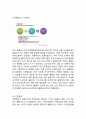 홈플러스 Homeplus 기업분석과 글로벌 경영전략분석과 홈플러스 마케팅 SWOT,STP,4P전략과 홈플러스 다양한 마케팅사례분석 4페이지