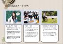 본죽 프랜차이즈 경영 16페이지