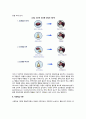 아동발달이론의 행동주의이론 및 사회학습이론(아동발달의 행동주의이론-사회학습이론 관점) 3페이지