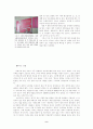 중국 상해 9페이지