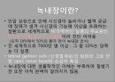 녹내장의 병리와 치료 발표 피피티 3페이지