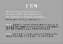 녹내장의 병리와 치료 발표 피피티 10페이지