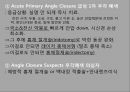 녹내장의 병리와 치료 발표 피피티 24페이지